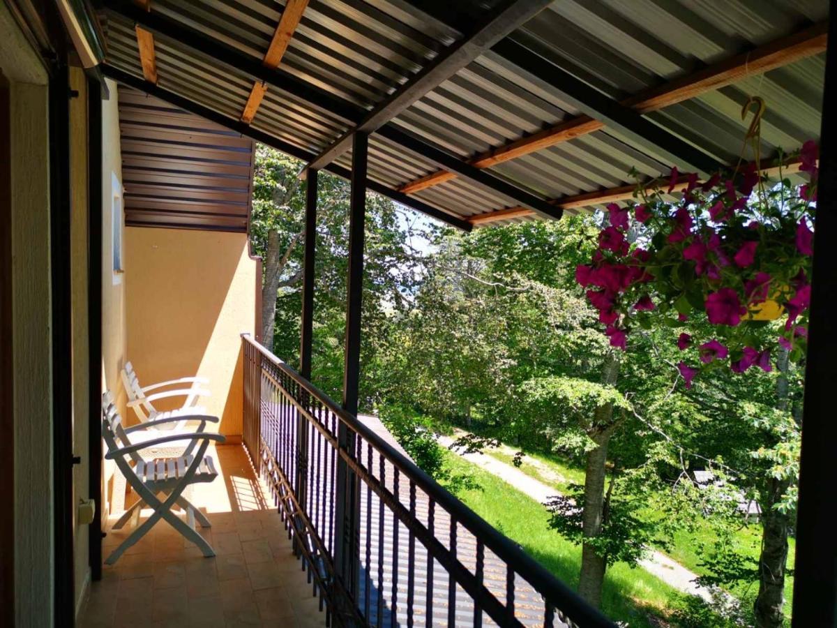 Gorska Appartement Žabljak